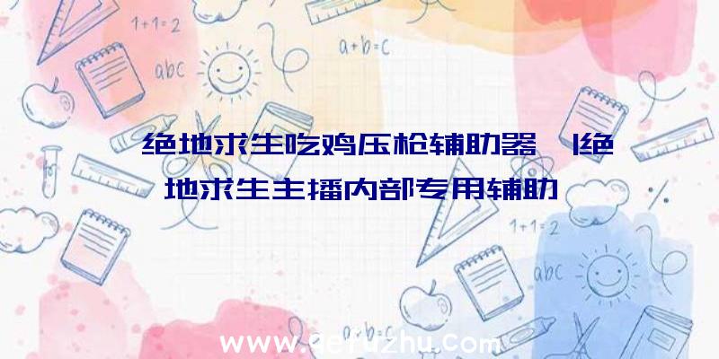 「绝地求生吃鸡压枪辅助器」|绝地求生主播内部专用辅助